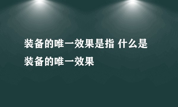 装备的唯一效果是指 什么是装备的唯一效果