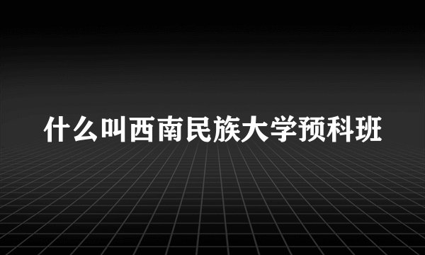 什么叫西南民族大学预科班