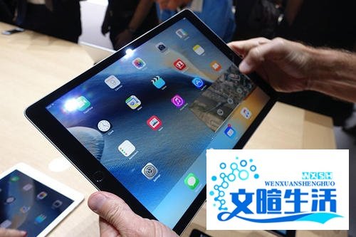 IPAD无法连接到app store，该怎么解决？