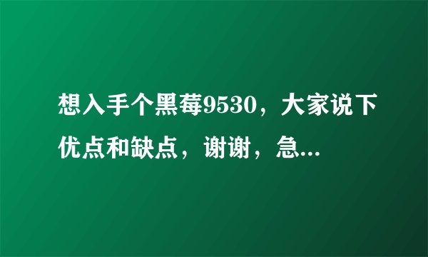 想入手个黑莓9530，大家说下优点和缺点，谢谢，急急急啊？有没有人清楚？
