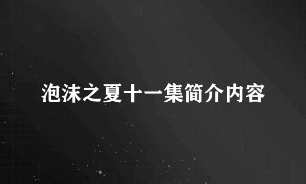 泡沫之夏十一集简介内容