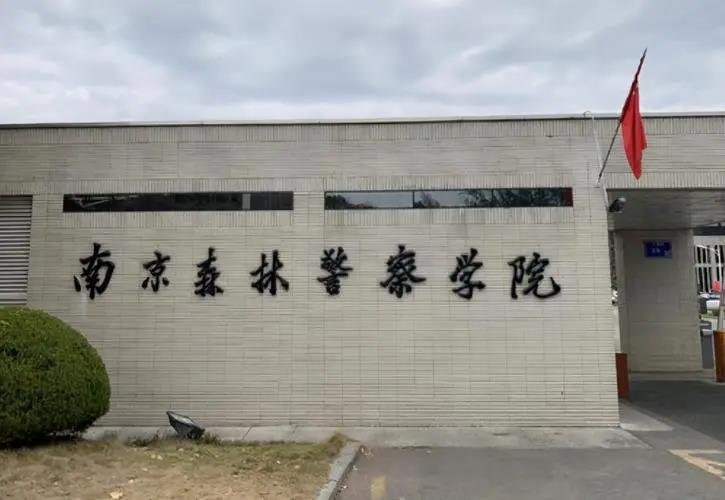 山东报考警校2021分数线