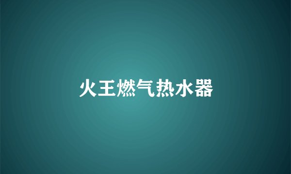 火王燃气热水器