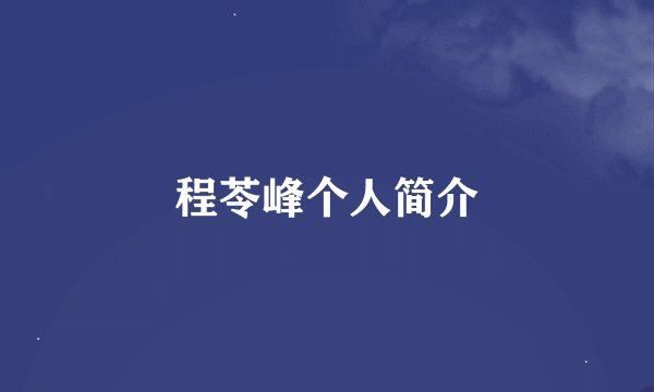 程苓峰个人简介