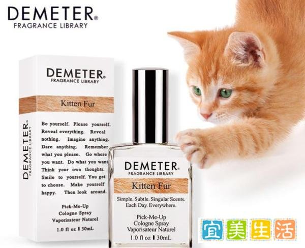 帝门特 小奶猫（猫皮） 强生润肤露同款氛围香水