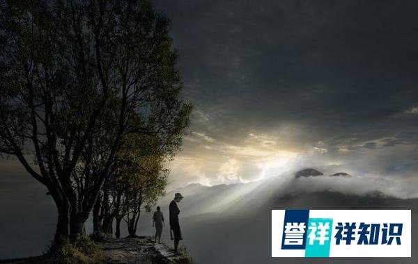 天资卓越，双商超高的三大星座。不过为人做事低调，生性淡泊