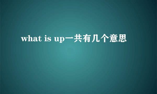 what is up一共有几个意思
