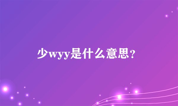 少wyy是什么意思？