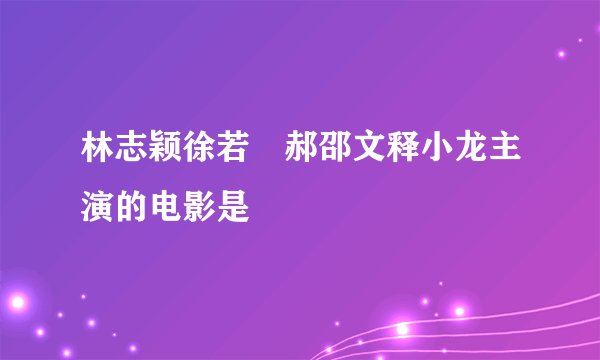 林志颖徐若瑄郝邵文释小龙主演的电影是