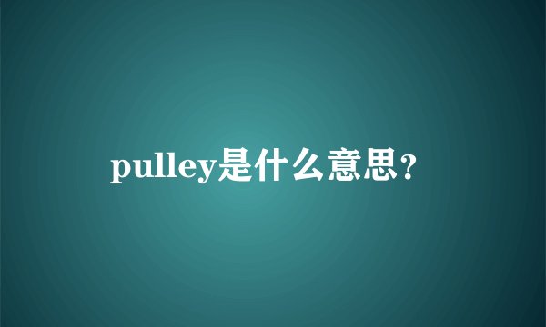 pulley是什么意思?