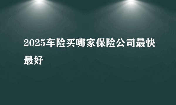 2025车险买哪家保险公司最快最好