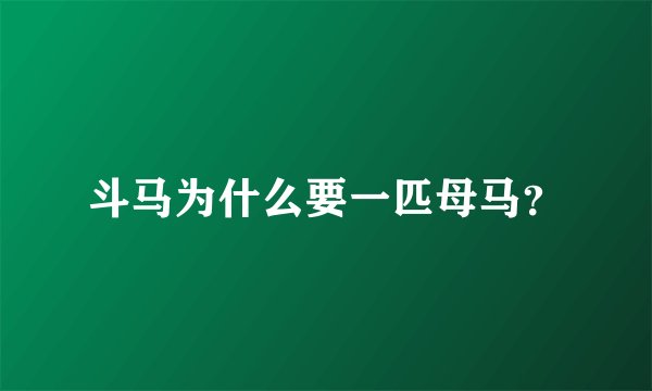 斗马为什么要一匹母马？