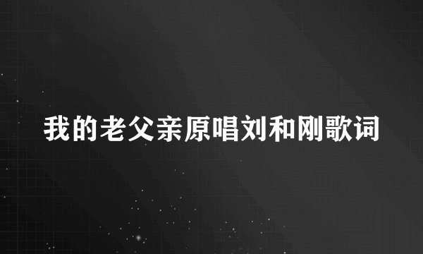 我的老父亲原唱刘和刚歌词