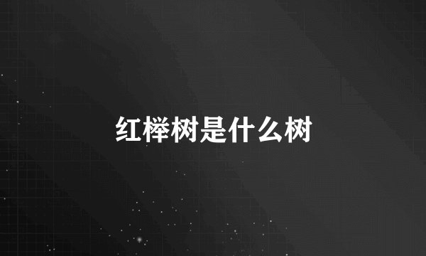 红榉树是什么树