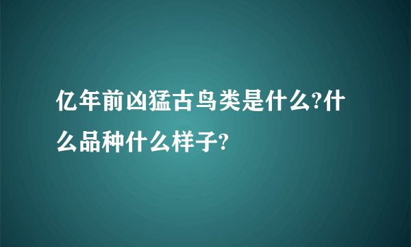 亿年前凶猛古鸟类是什么?什么品种什么样子?