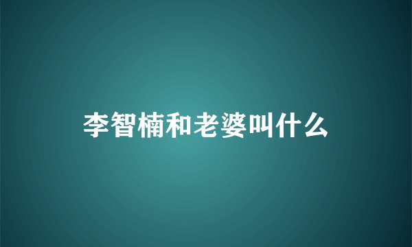 李智楠和老婆叫什么