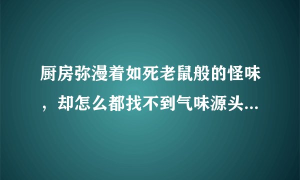 厨房弥漫着如死老鼠般的怪味，却怎么都找不到气味源头，该如何是好？