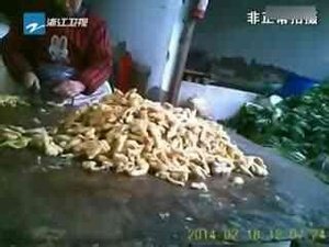 泡菜帮的节目列表