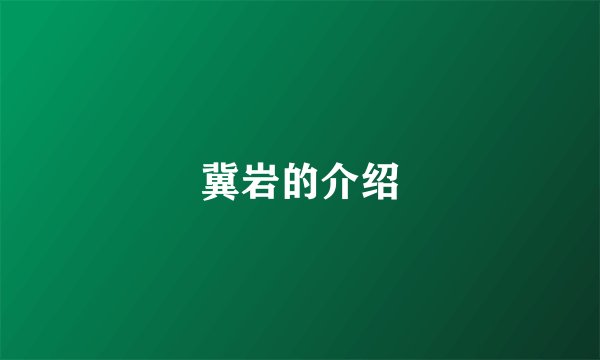 冀岩的介绍