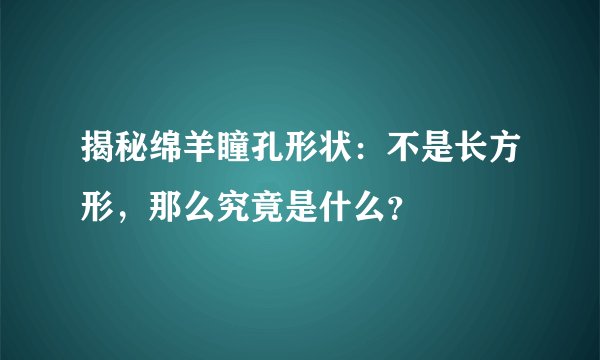 揭秘绵羊瞳孔形状：不是长方形，那么究竟是什么？