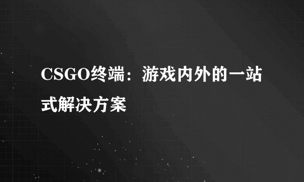CSGO终端：游戏内外的一站式解决方案