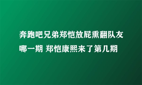 奔跑吧兄弟郑恺放屁熏翻队友哪一期 郑恺康熙来了第几期