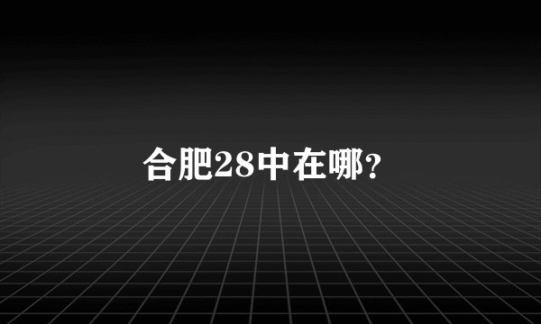 合肥28中在哪？
