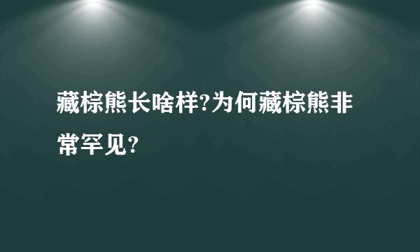 藏棕熊长啥样?为何藏棕熊非常罕见?