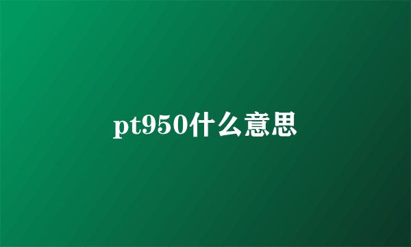 pt950什么意思