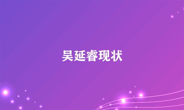 吴延睿现状