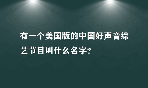 有一个美国版的中国好声音综艺节目叫什么名字？