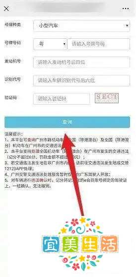 广州交警如何查违章