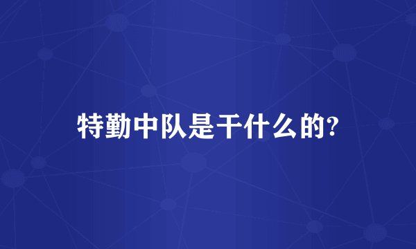 特勤中队是干什么的?
