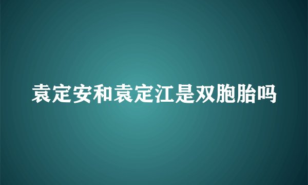 袁定安和袁定江是双胞胎吗
