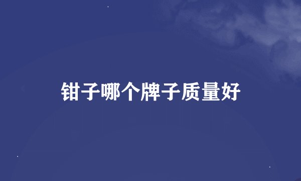 钳子哪个牌子质量好