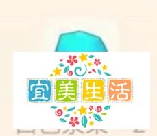 摩尔庄园怎么做浆果捞