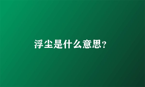 浮尘是什么意思？