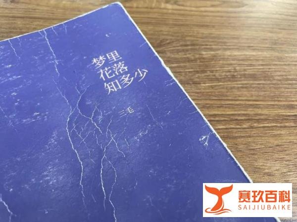 三毛的经典作品，也许是她预留的遗书