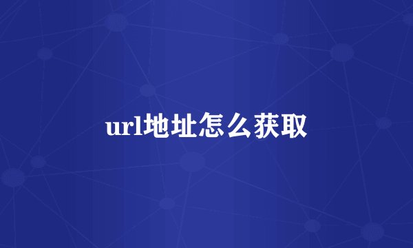 url地址怎么获取