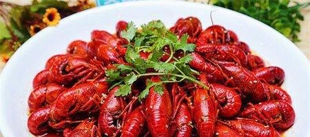 小龙虾在哪学？小龙虾培训需要多少钱？