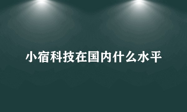 小宿科技在国内什么水平