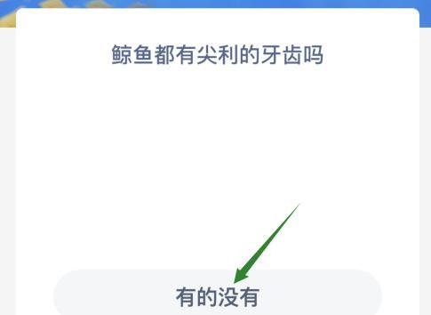 鲸鱼都有尖利的牙齿吗
