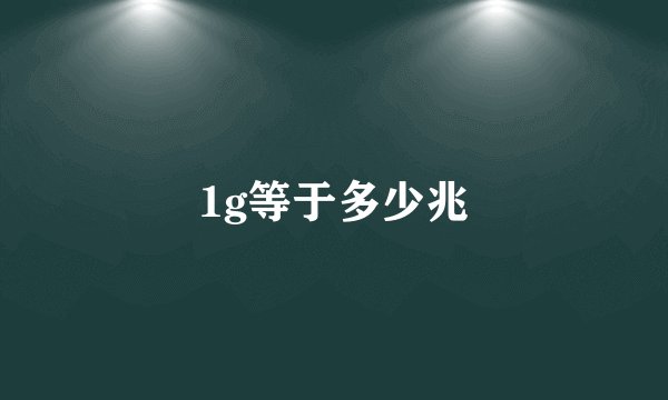 1g等于多少兆