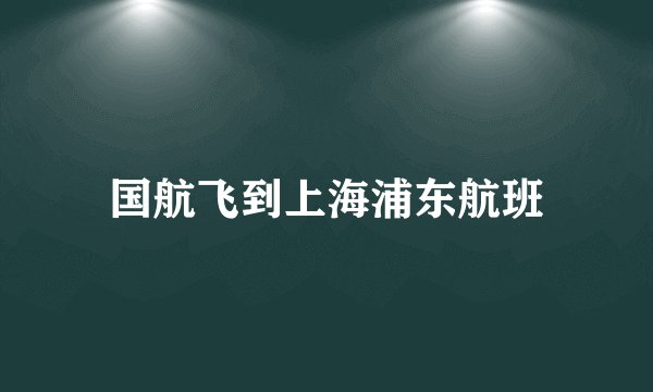 国航飞到上海浦东航班