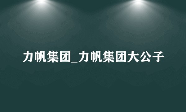 力帆集团_力帆集团大公子