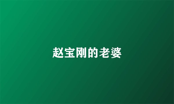 赵宝刚的老婆