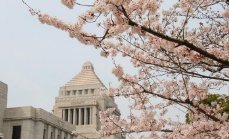 日本将用网红宣传福岛食品,为何会出现这么离谱的事情?