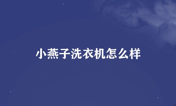 小燕子洗衣机怎么样