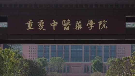 重庆中医药学院2023年招生分数线大概在多少分？