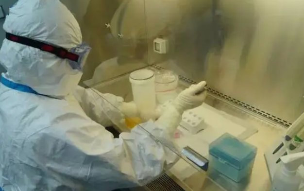 实验报告中的实验环境是什么